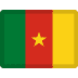 Flag of Cameroon emoji